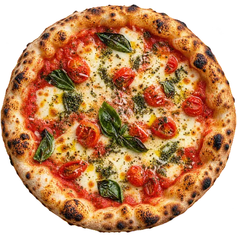 Marguerita Napoli